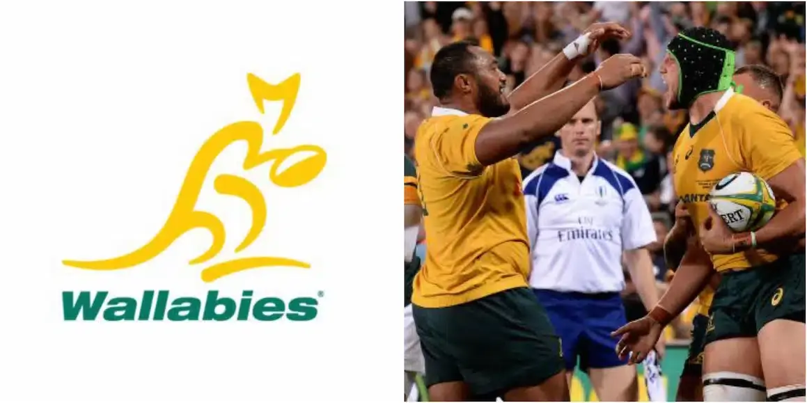 wallabies