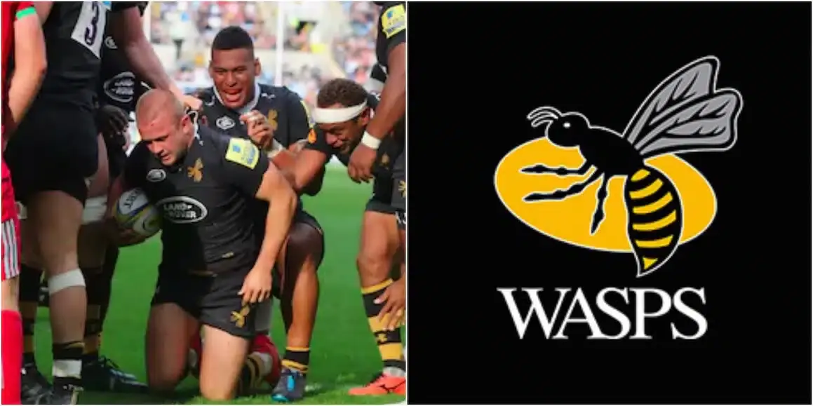 wasps 14