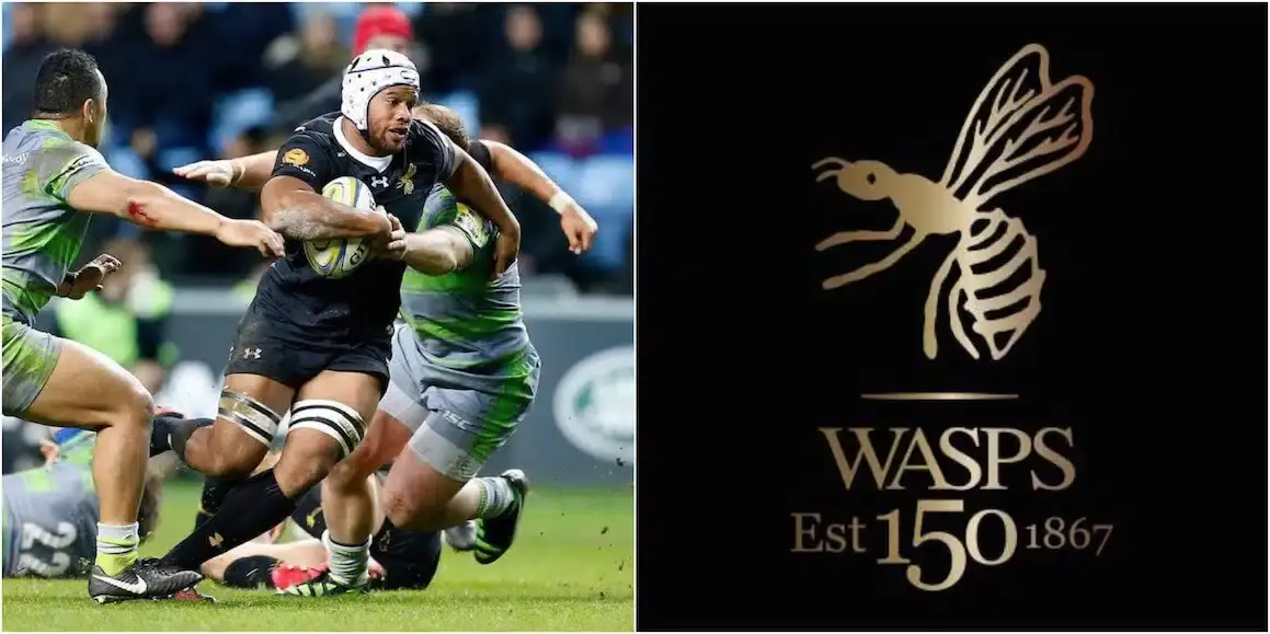 wasps 16