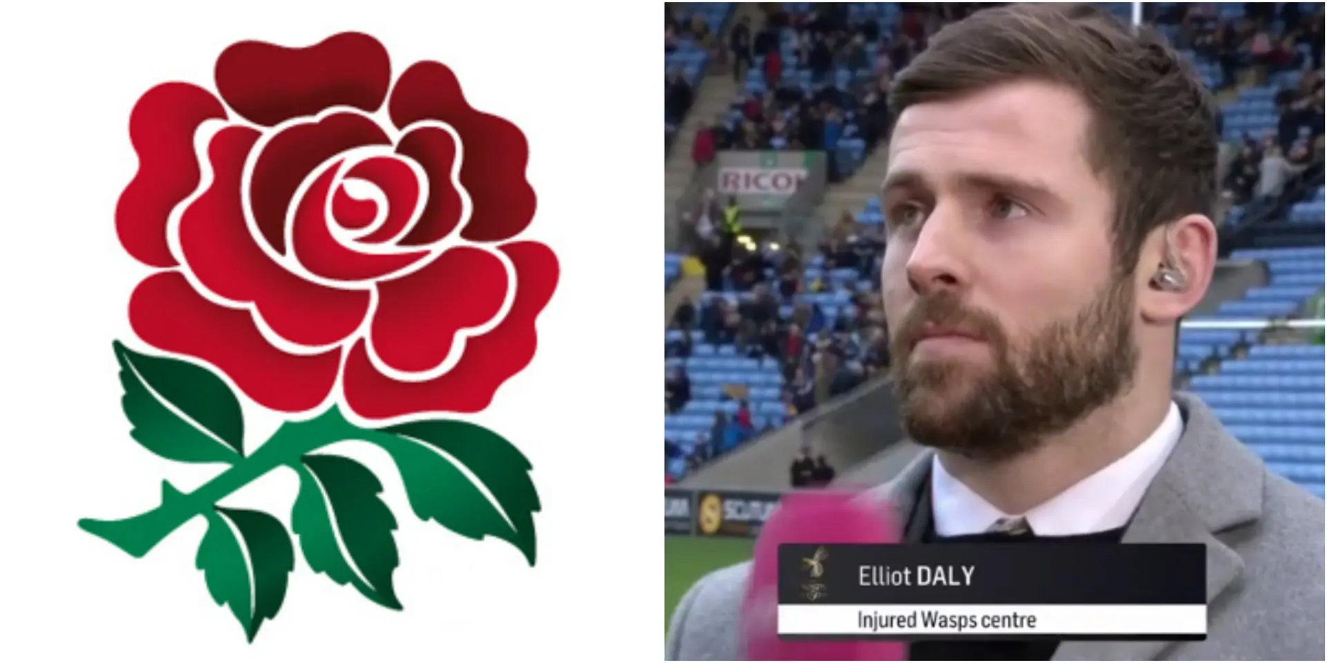 daly
