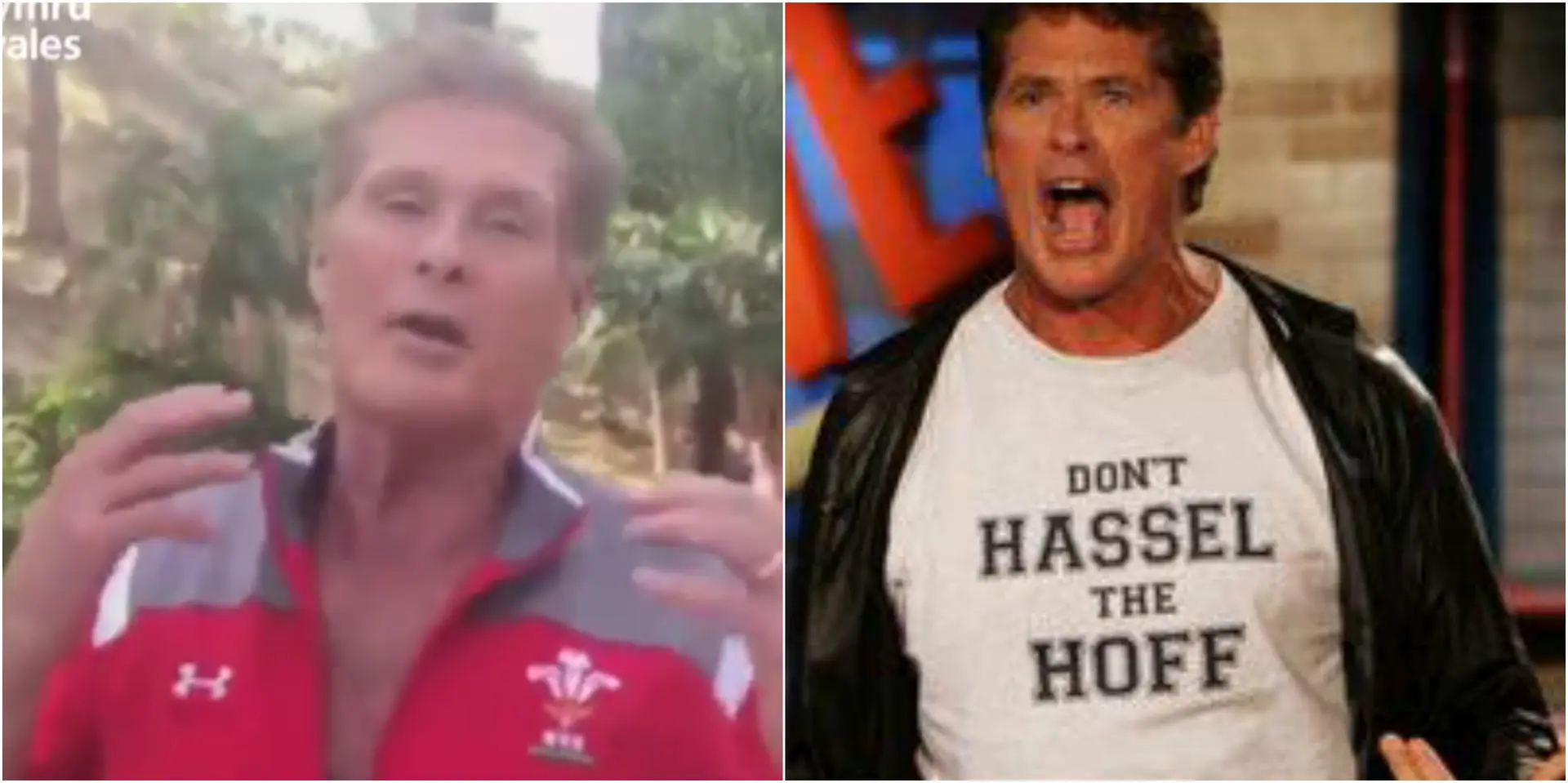 hoff