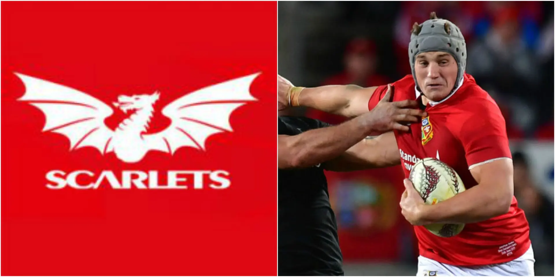 scarlets 1