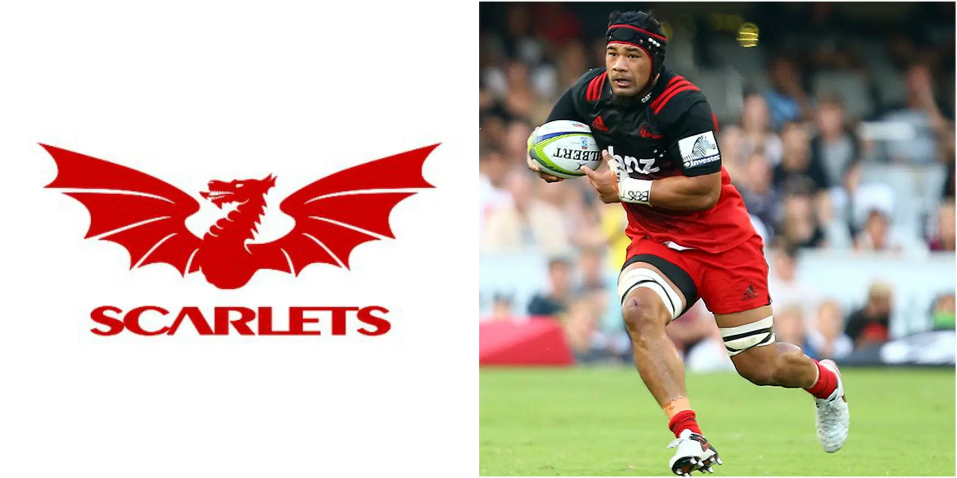 scarlets