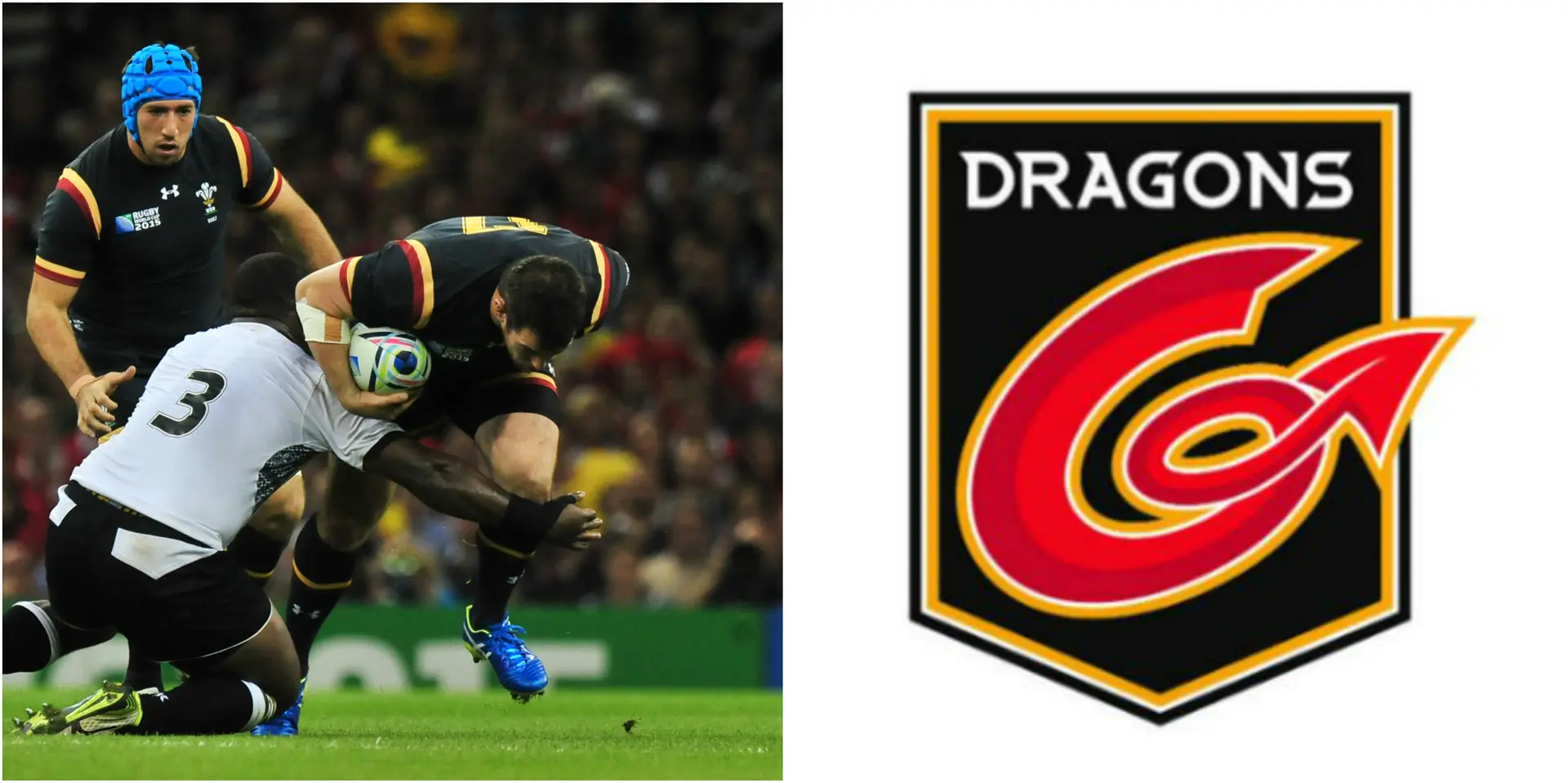dragons