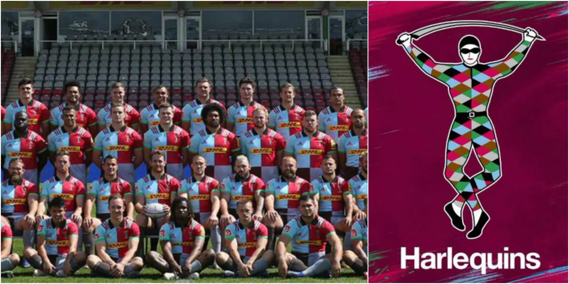 harlequins