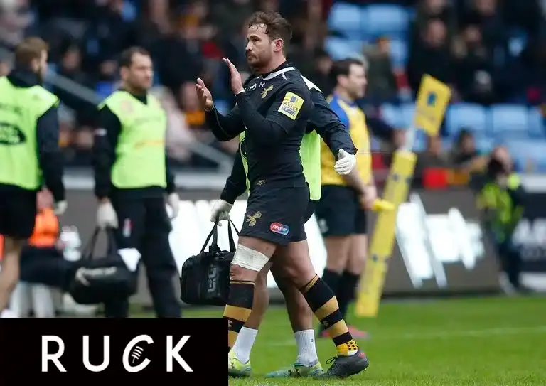 ppauk spo wasps 180218 050