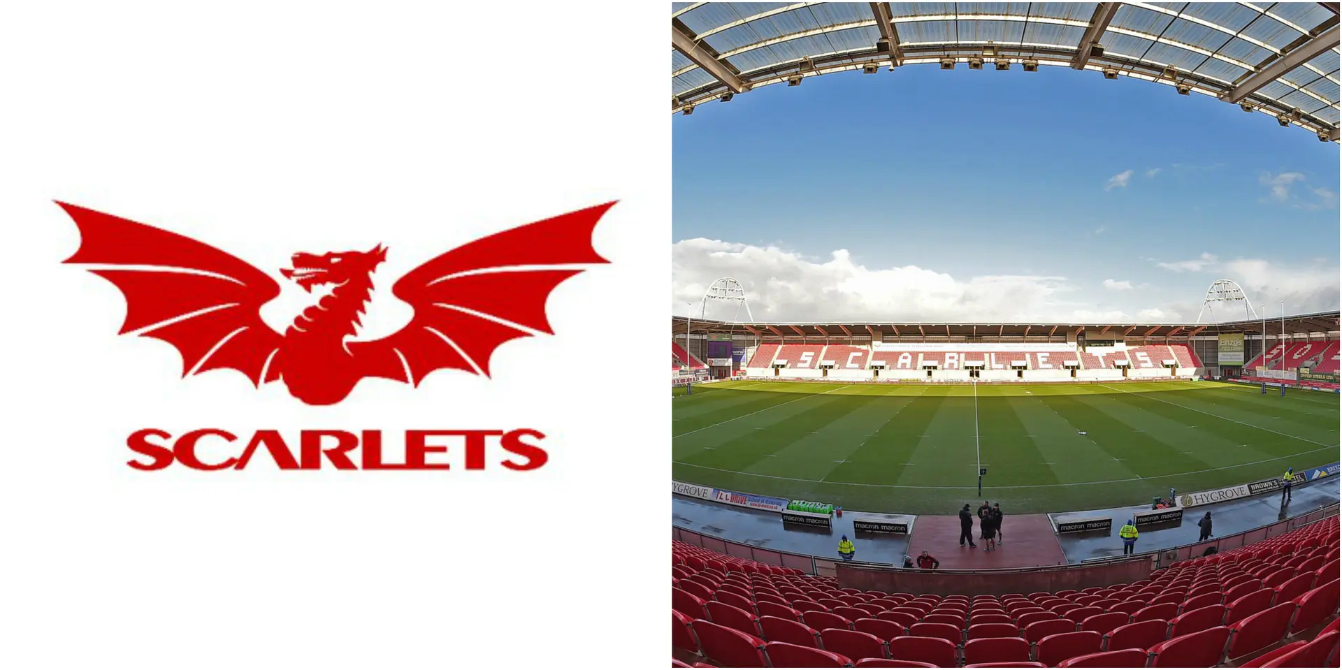 scarlets 2
