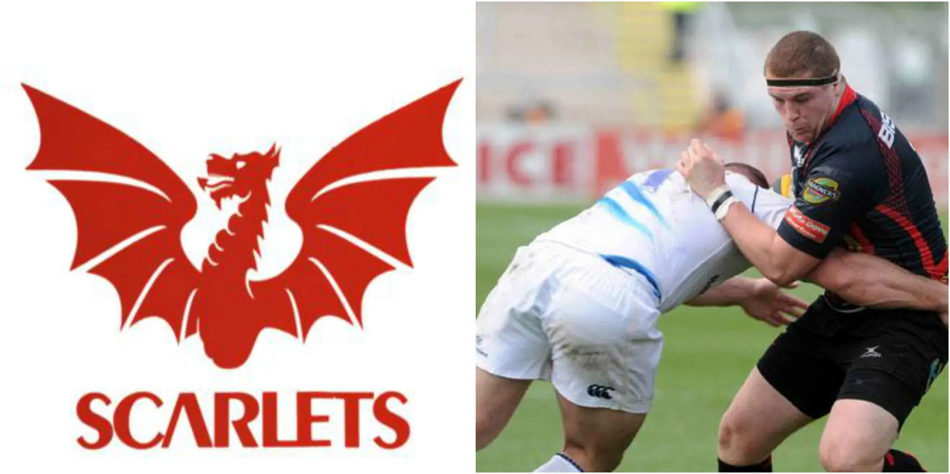 scarlets