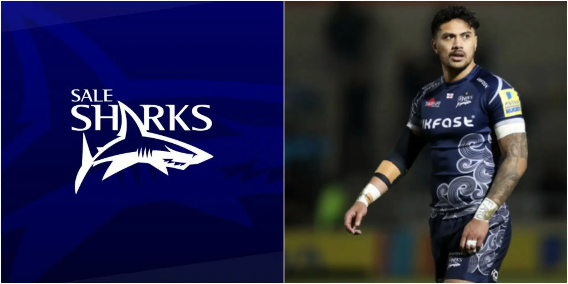 solomona