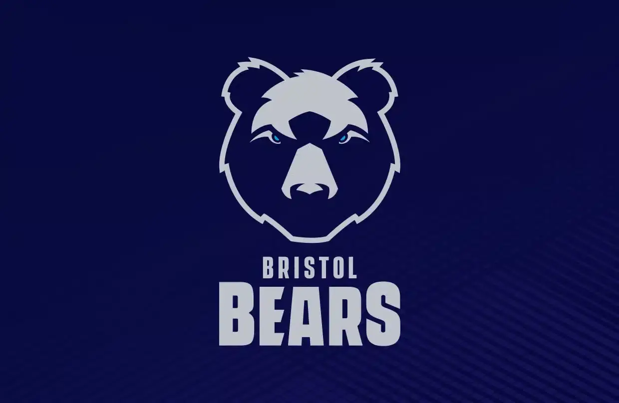 bears logo 2