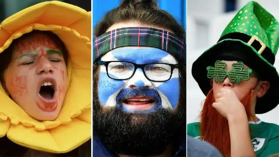 86173051 rugby fans