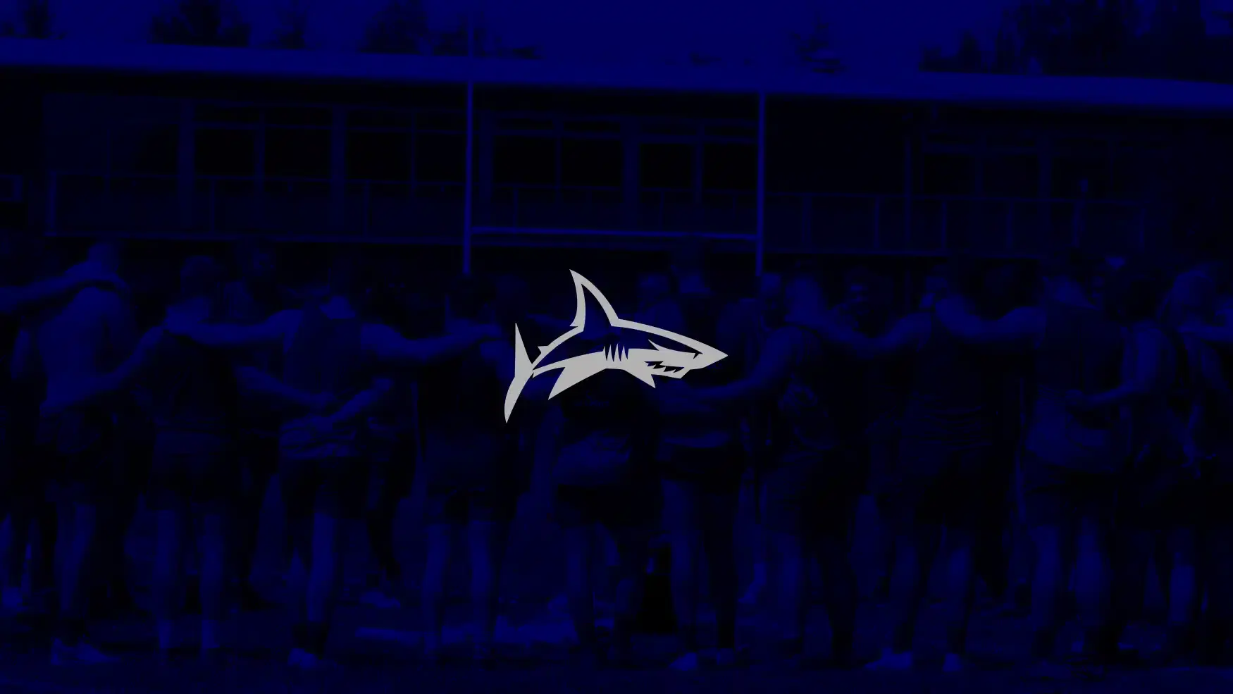 salesharks sotic placeholder 1750x985 02