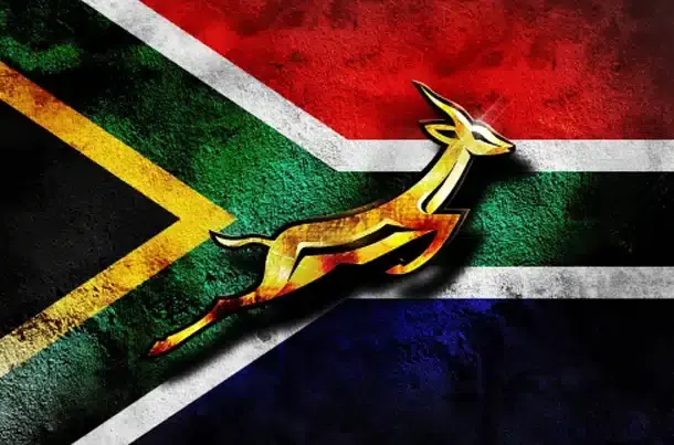 springboks end of year tour