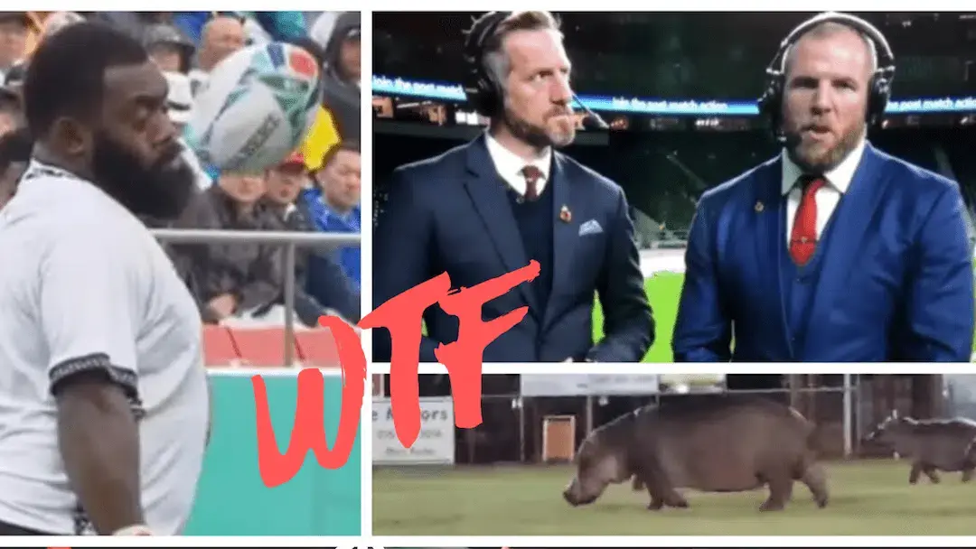wtf 2