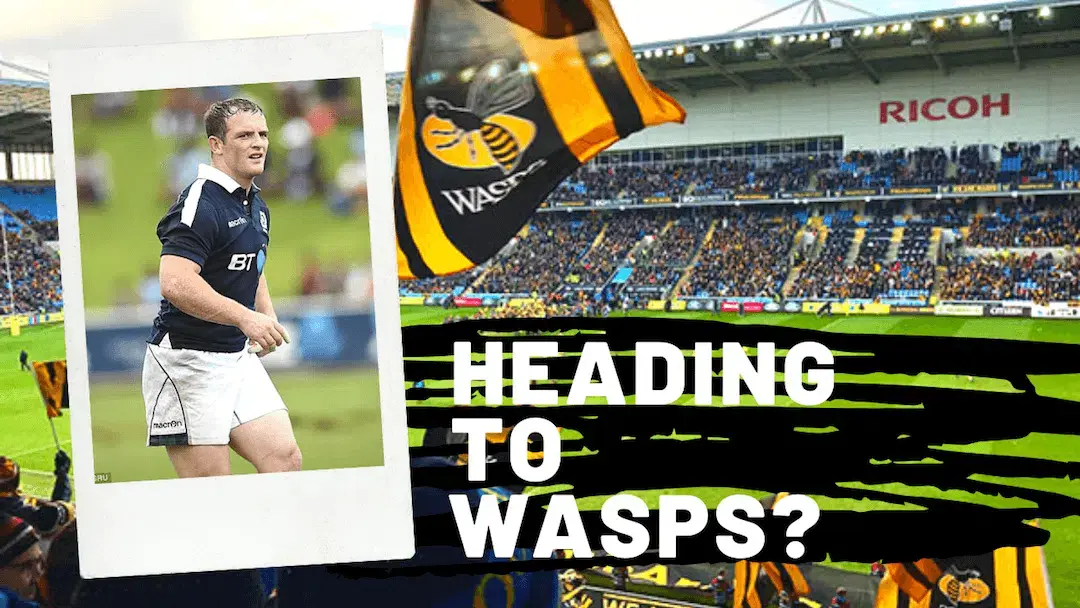 heading to wasps 2
