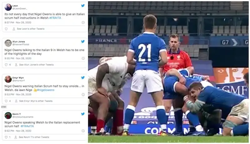 befunky collage 2020 11 28t221047419