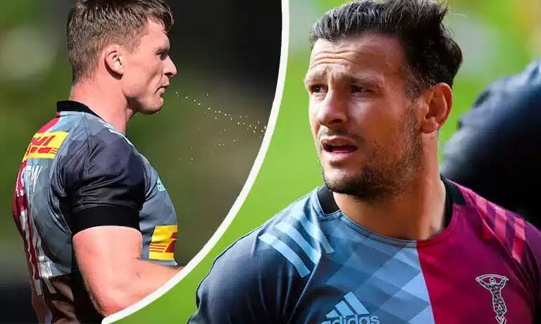 harlequins