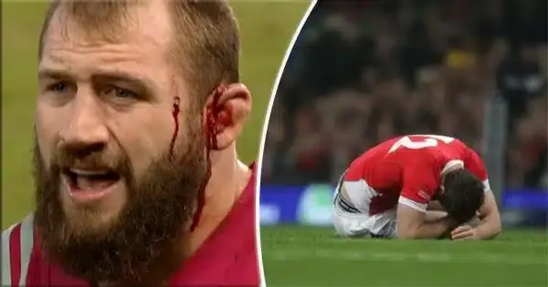 marler 1