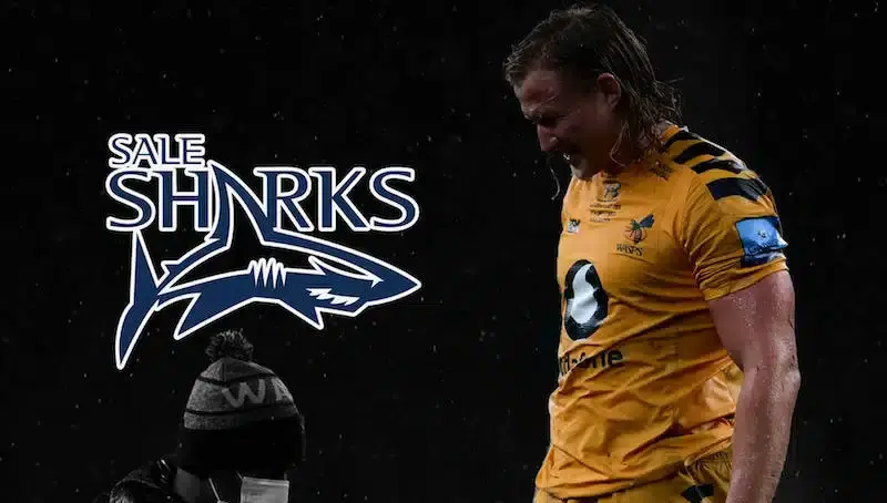 sharks