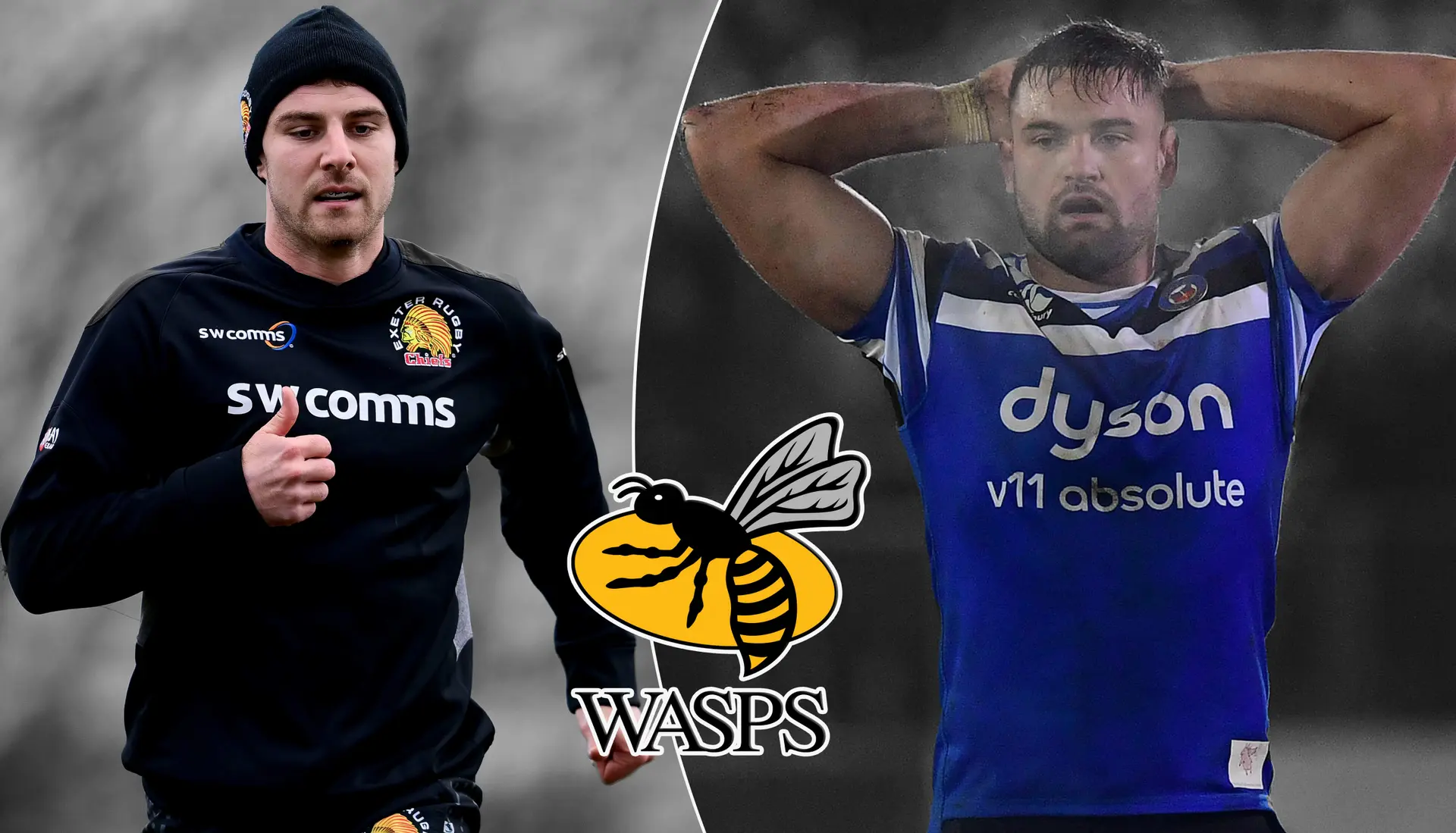 wasps 1
