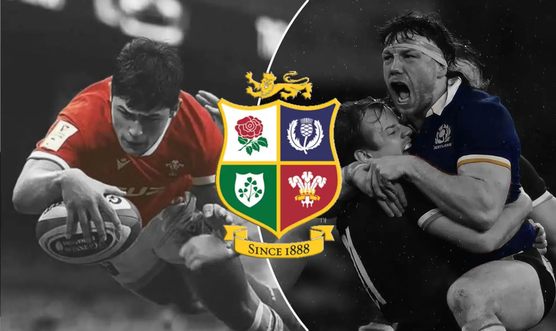 lions 13
