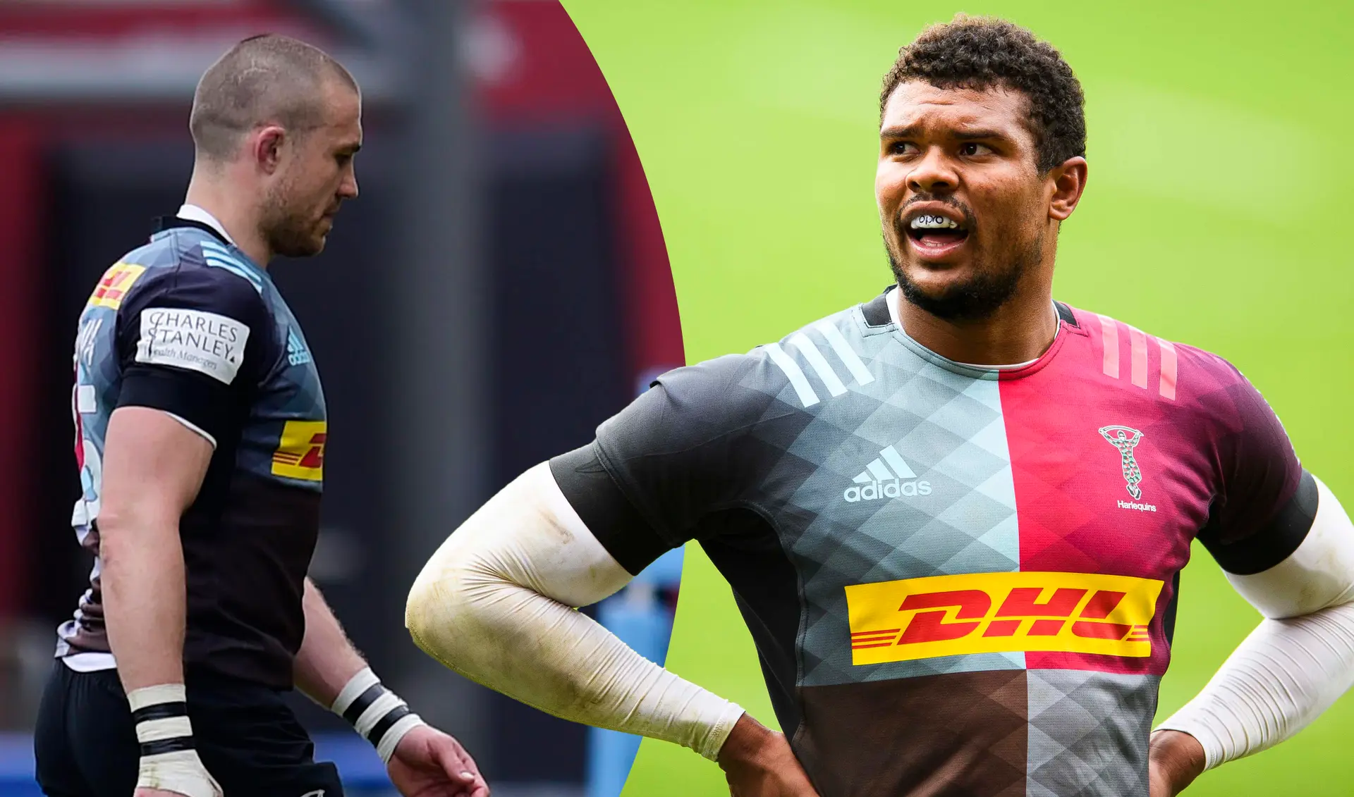harlequins