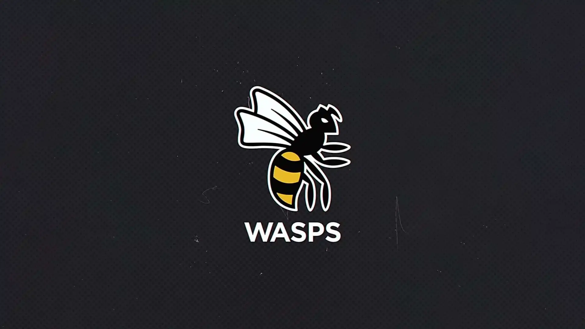 wasps logo 16x9 1