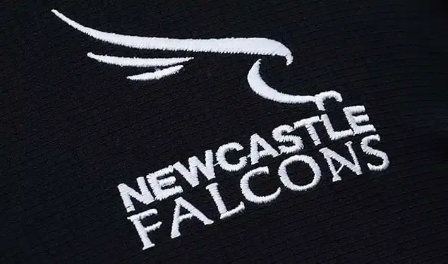 falcons logo shirt