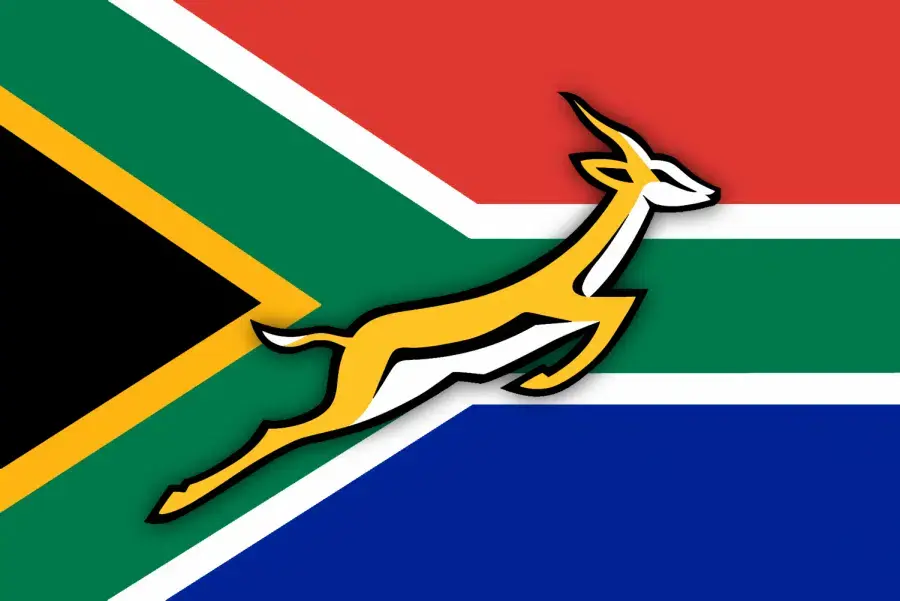 springboks 900x601 1