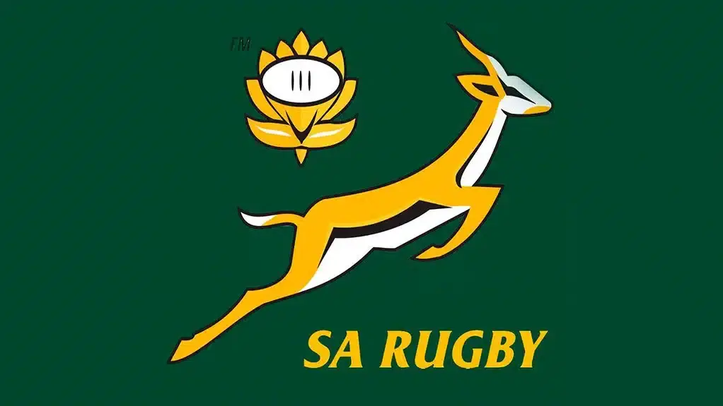 0000538581 resized southafricaspringboks1022