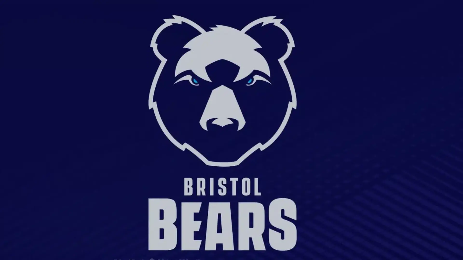 100895301 bears