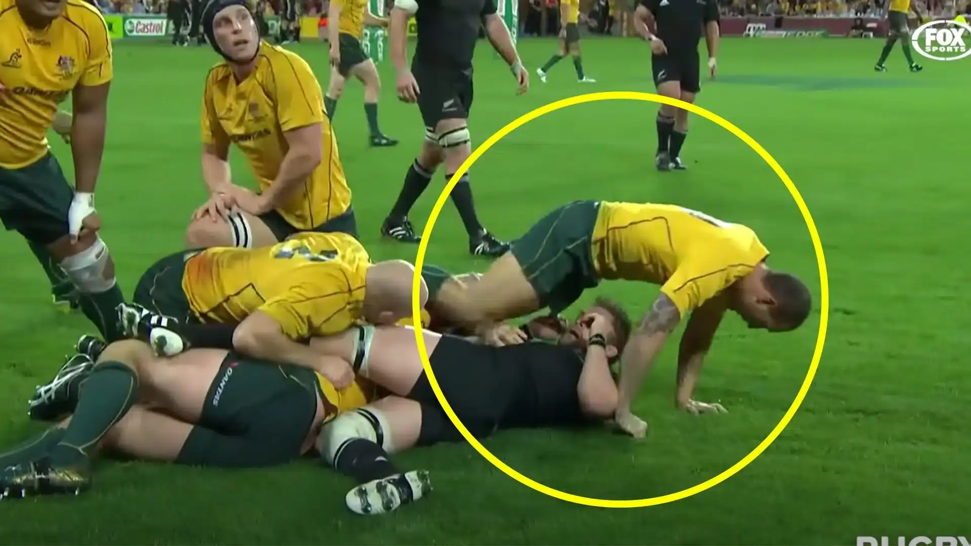 new zealanders quade cooper