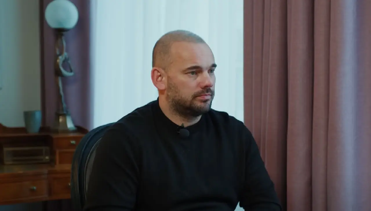 wesley sneijder