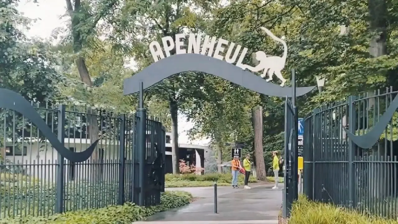 apenheul