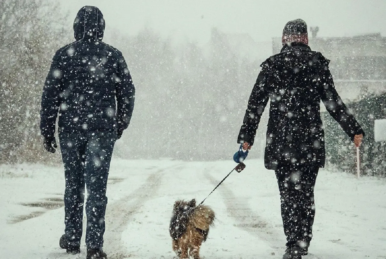 sneeuw