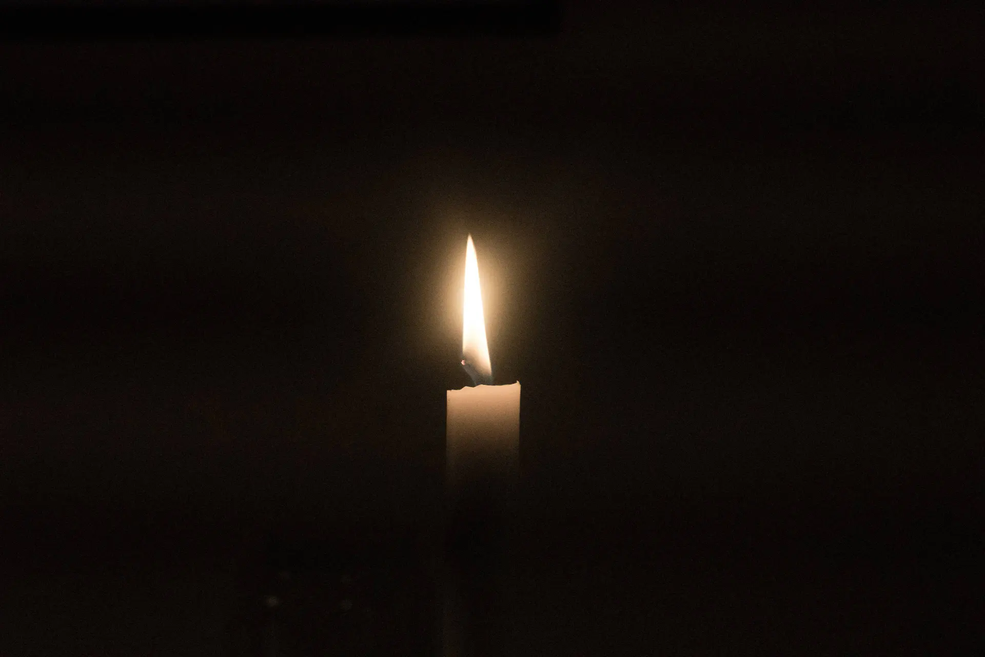 jarl schmidt 8qgfnfc2oai unsplash