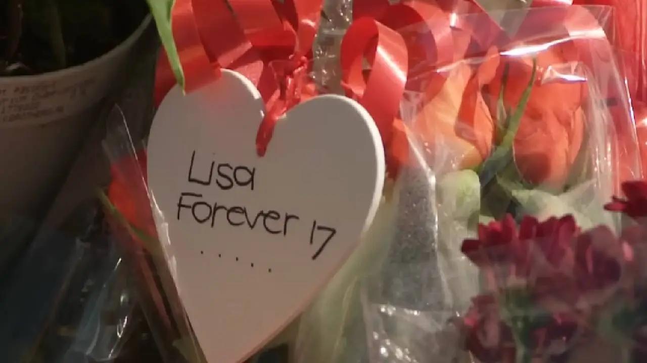 Lisaa