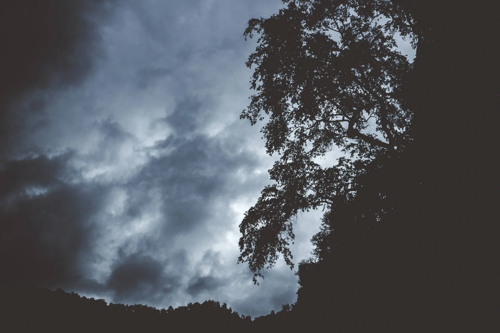 dark-mountain-with-silhouettes-trees-growing-edge
