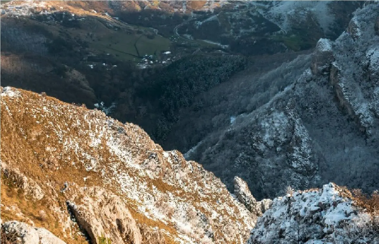 Berg
