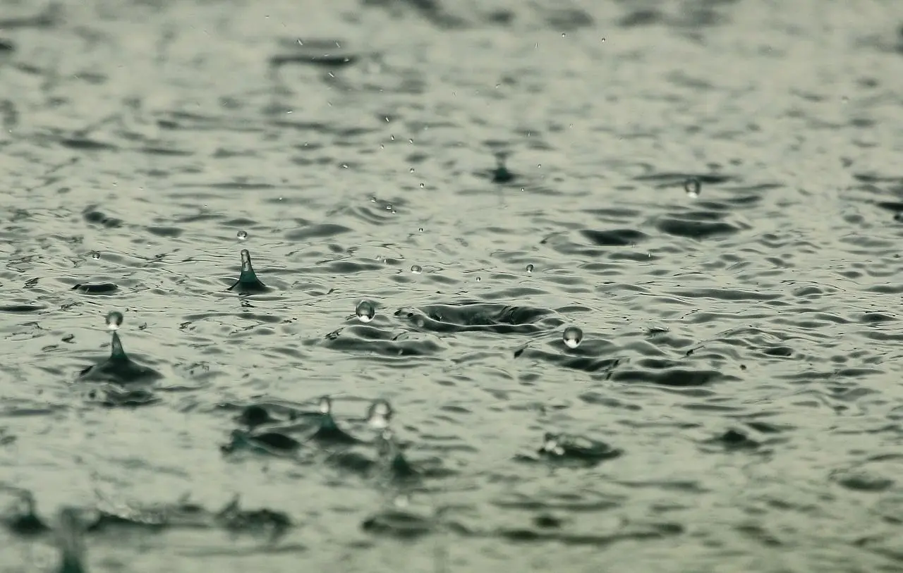 image001 5