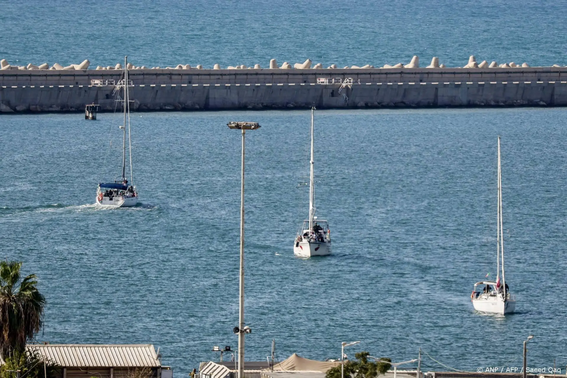 anp031025136 1