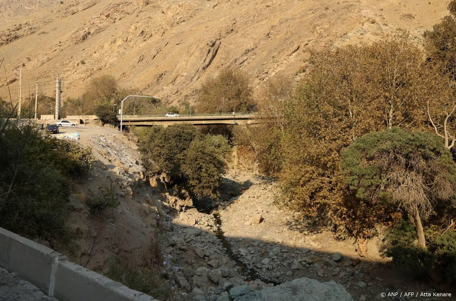 anp211125064 1