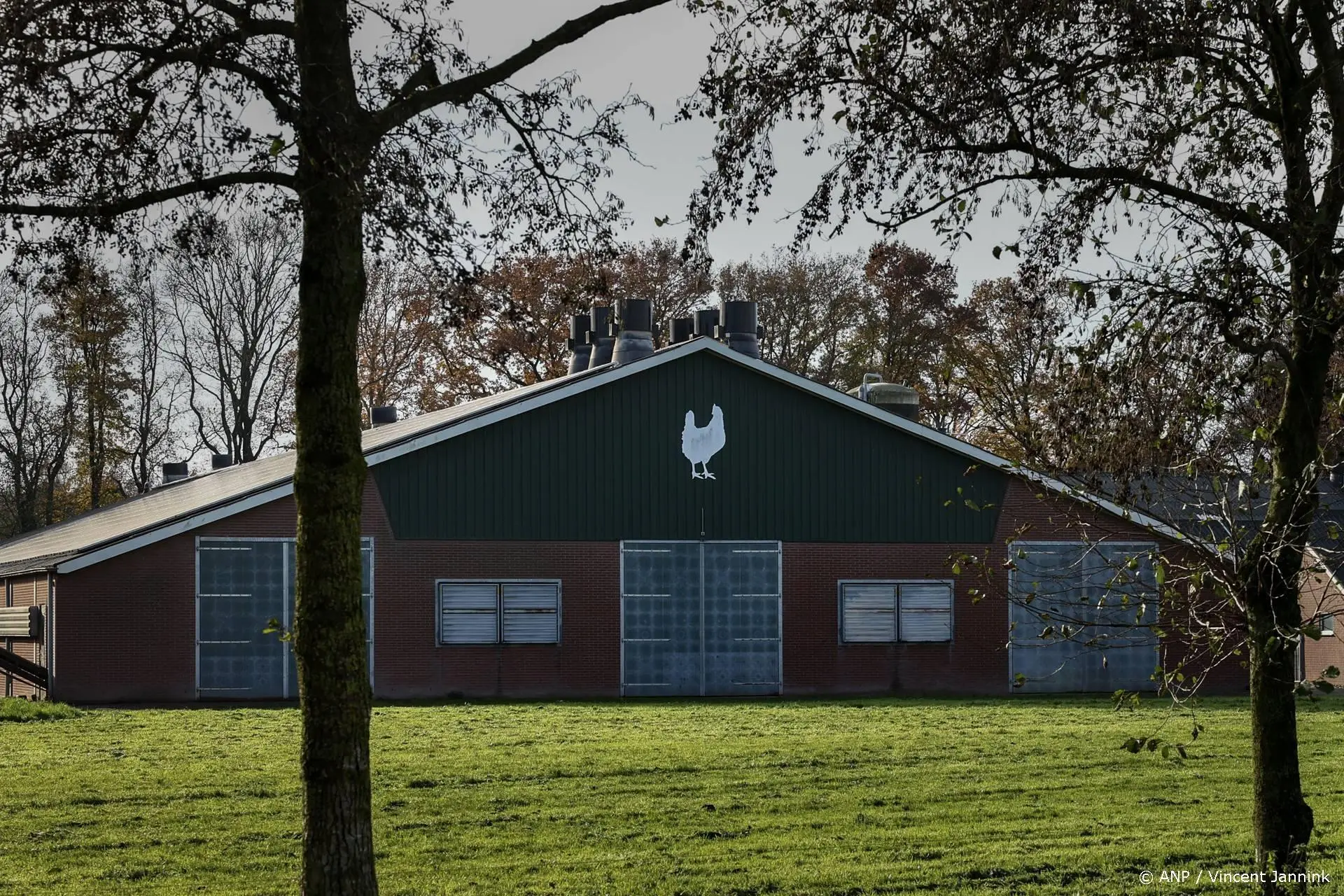 anp241125142 1
