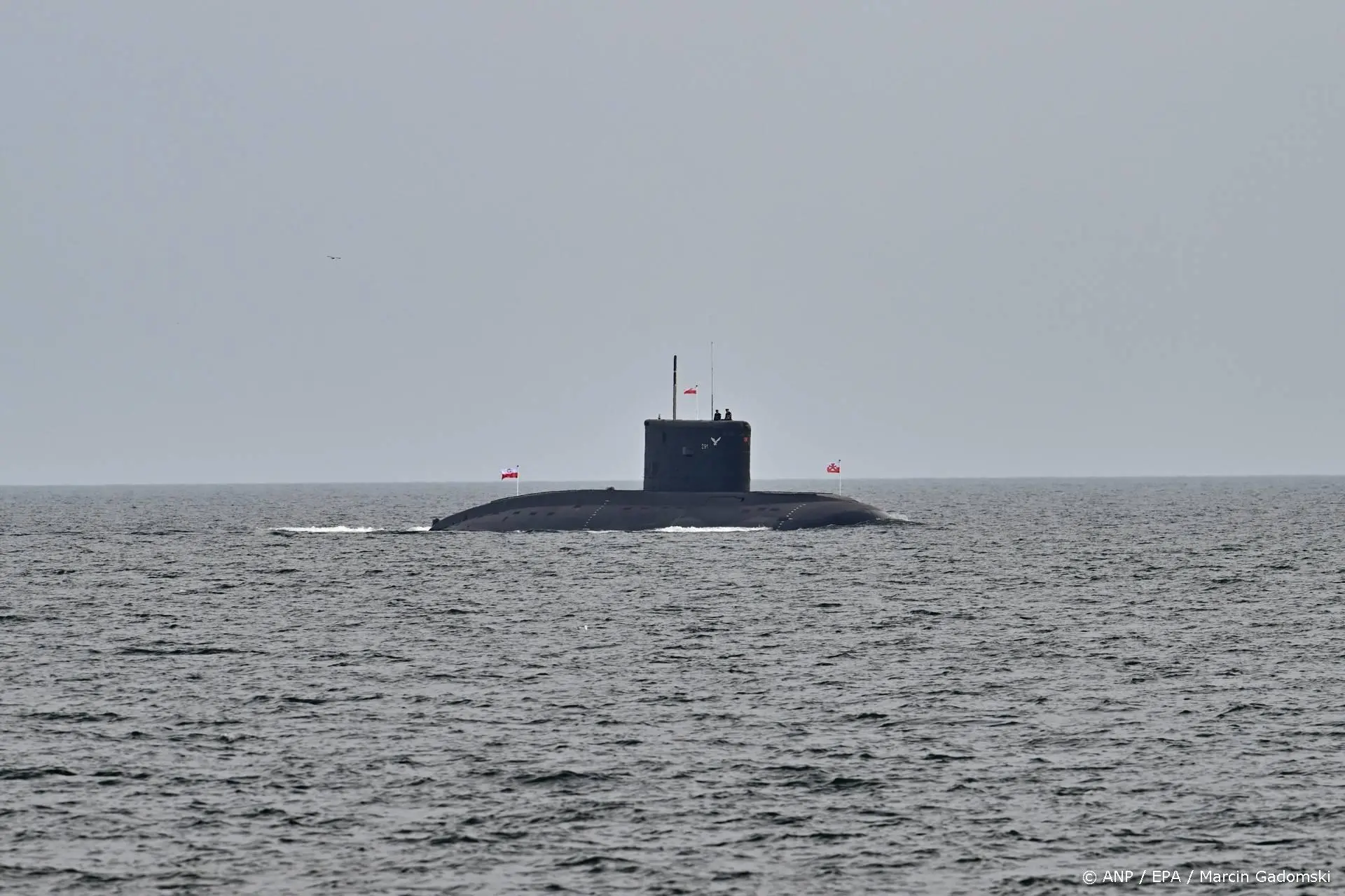 anp261125149 1
