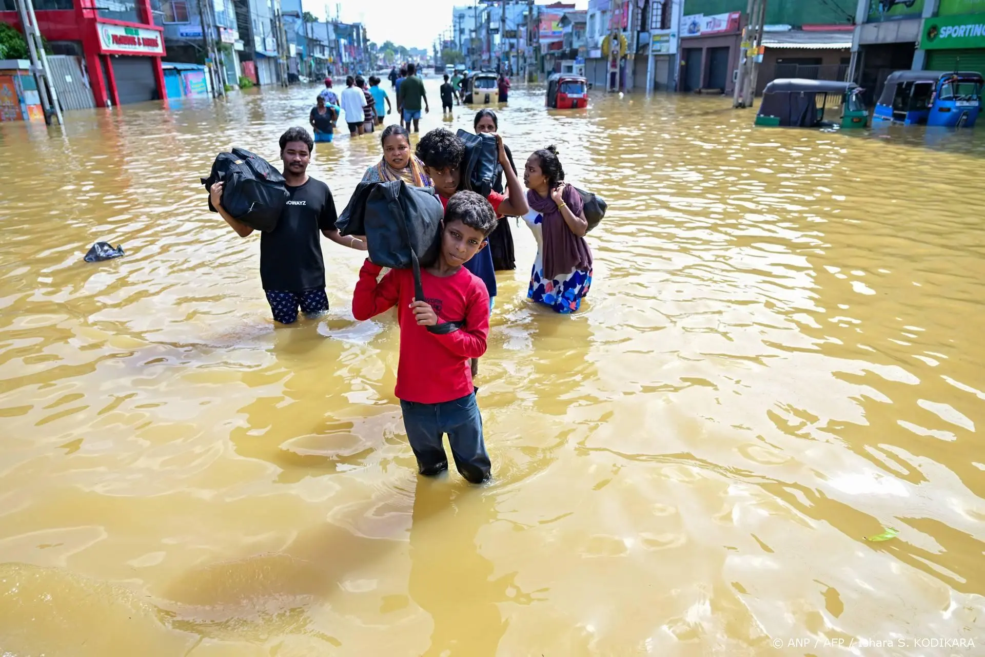 anp301125037 1