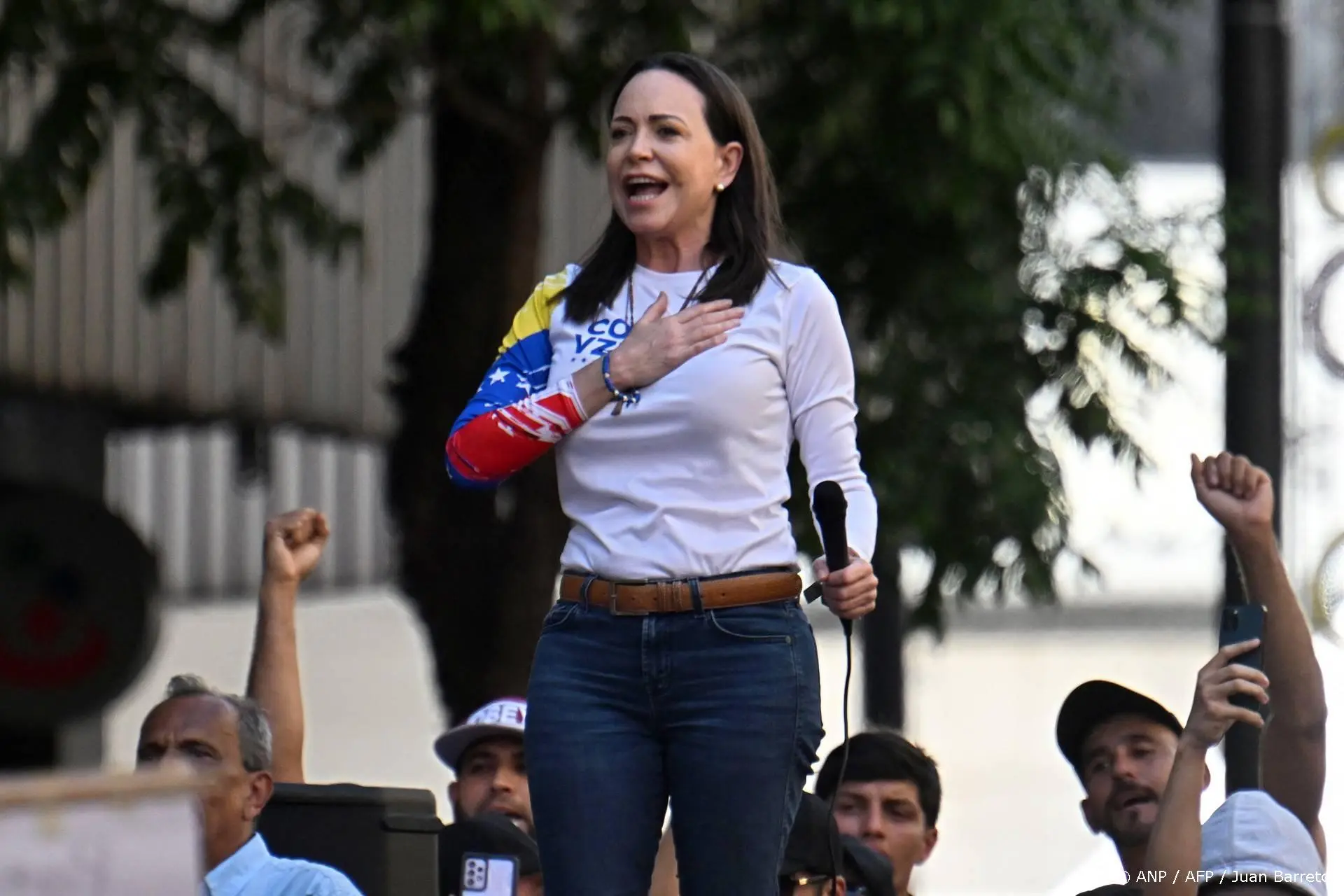 anp101225054 1