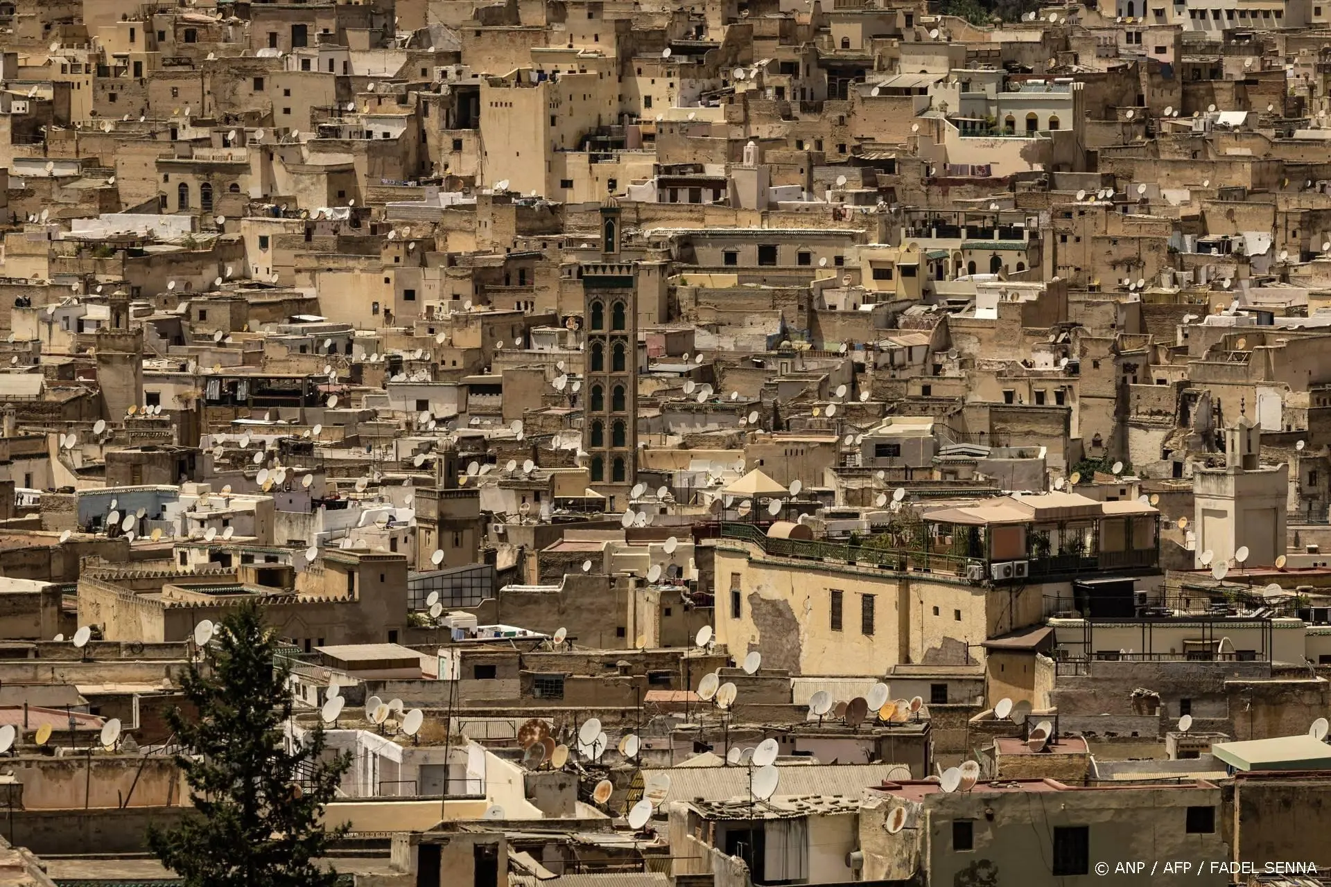 anp101225087 1