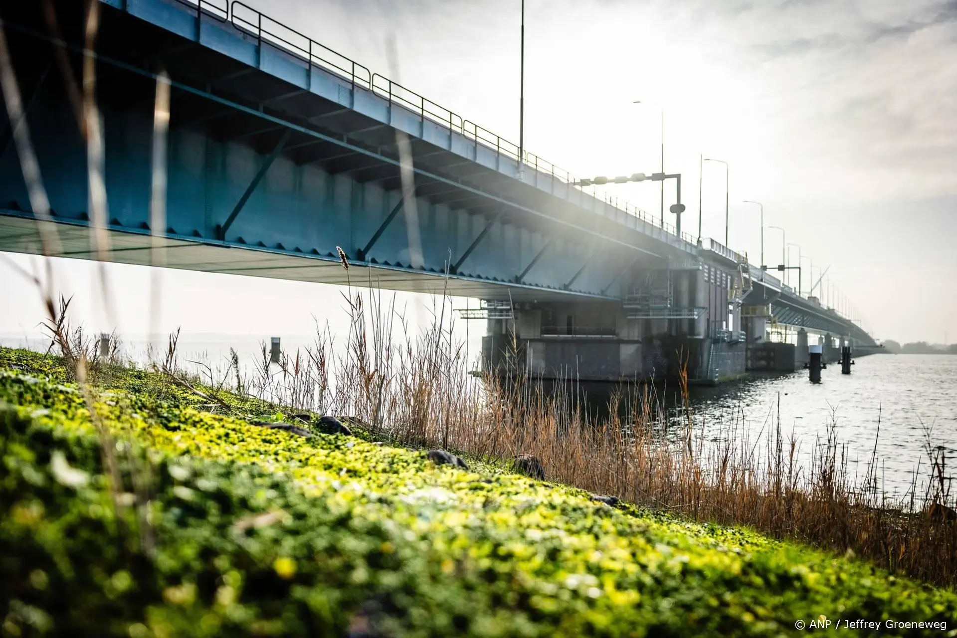 anp111225155 1