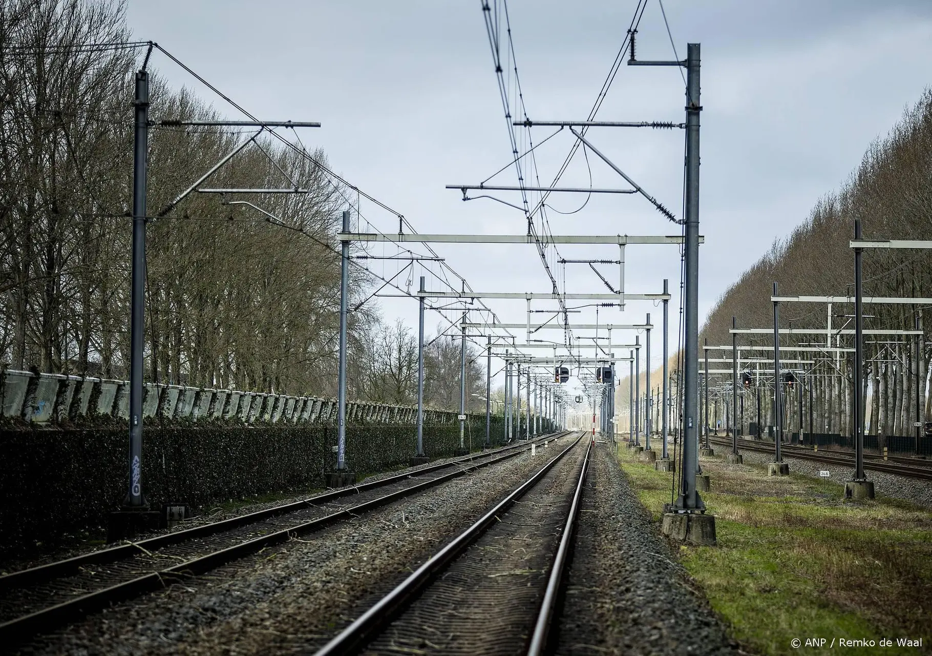 anp311225069 1