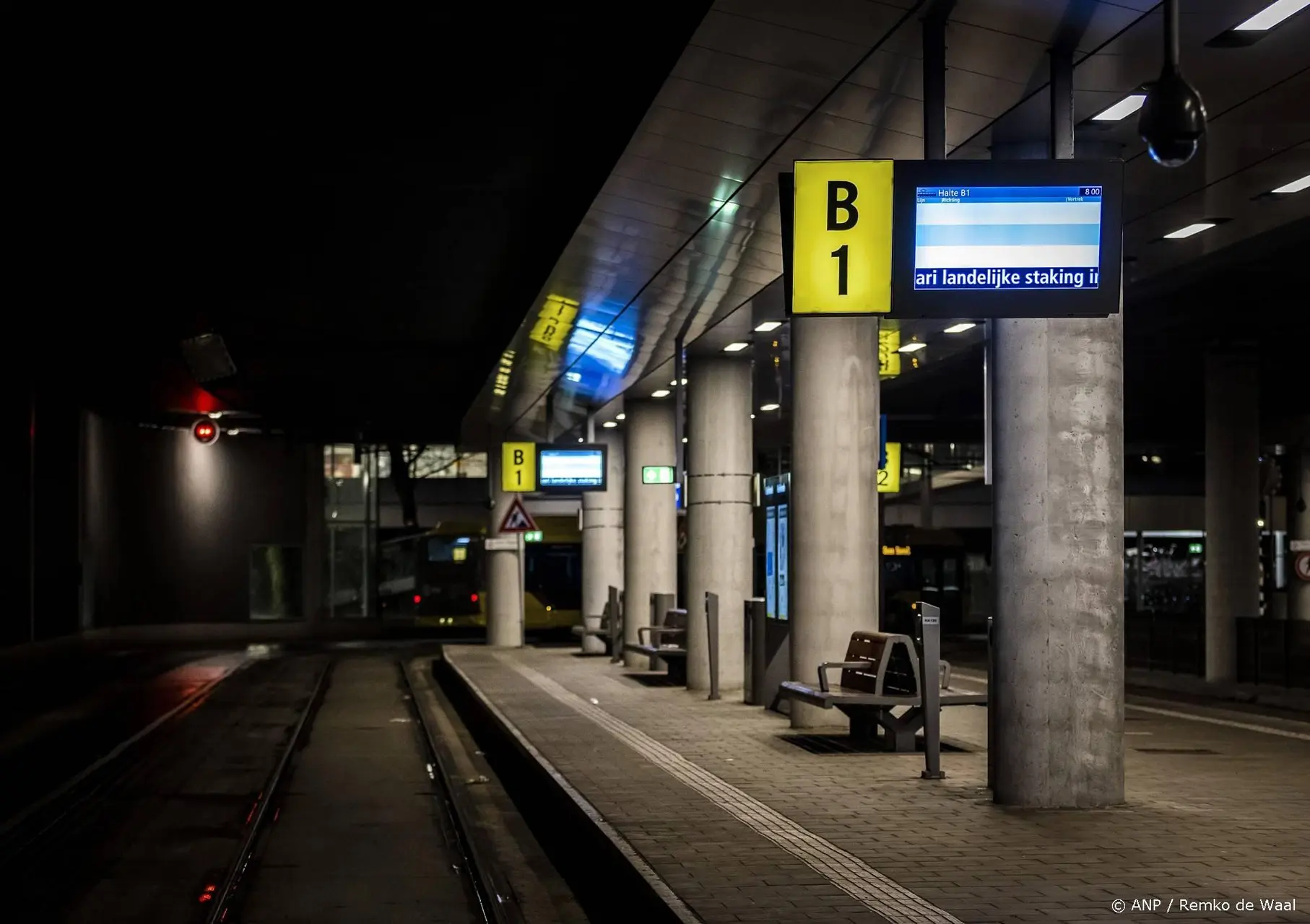 anp040126119 1